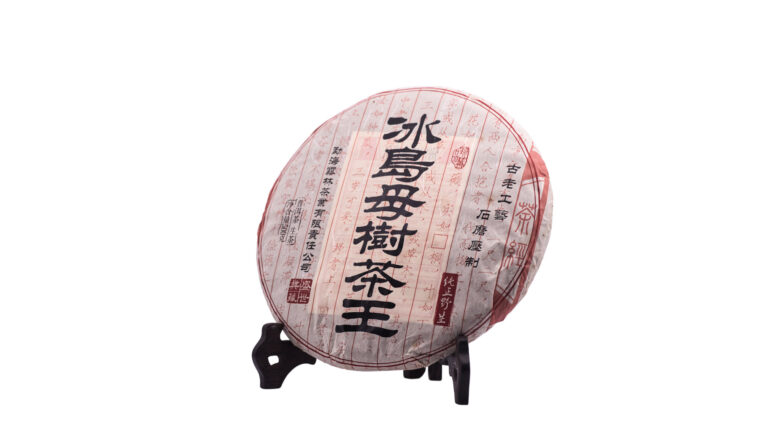 2010冰島母樹茶王