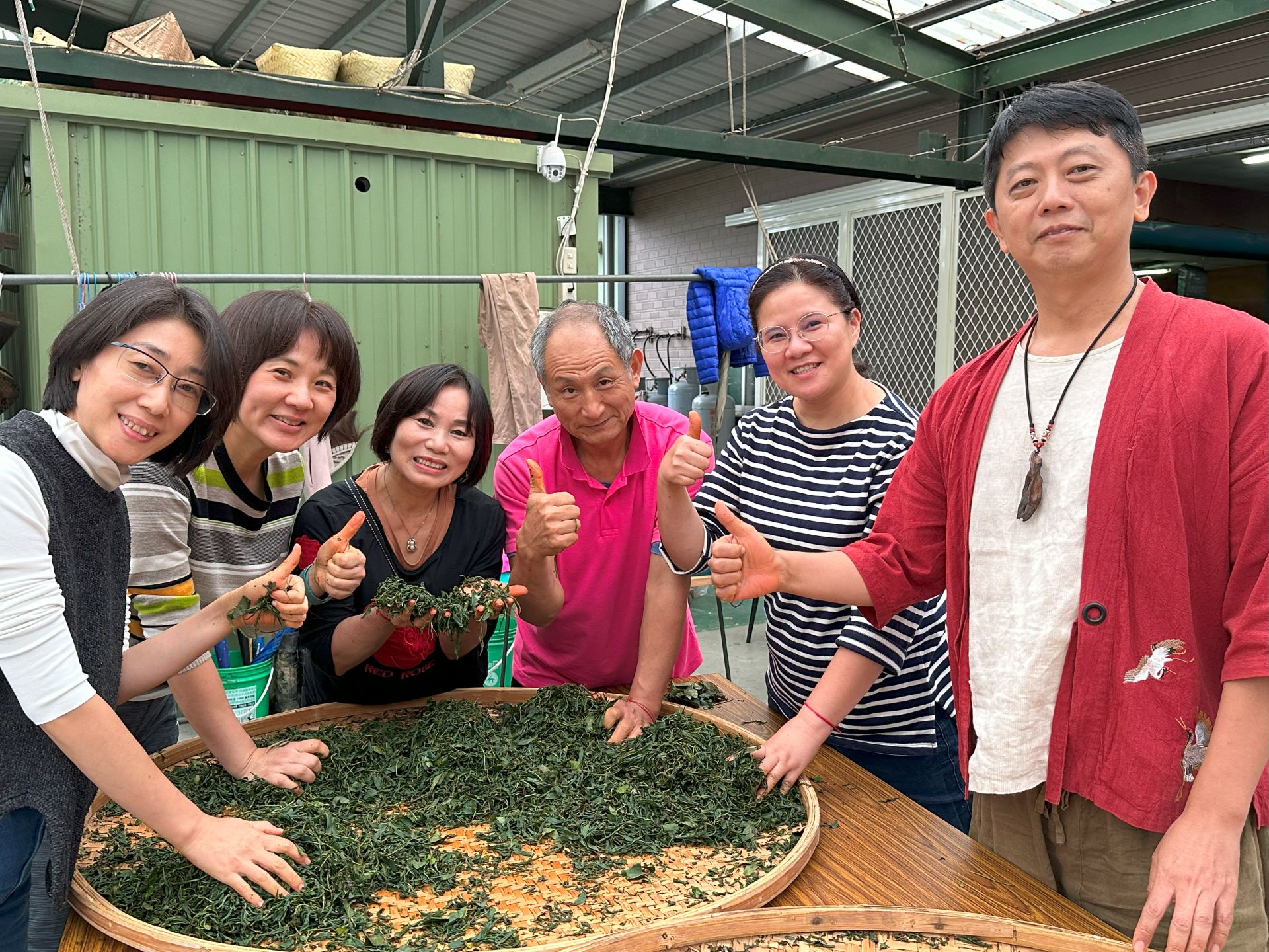 茶葉製作小旅行